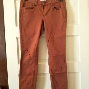 Burnt orange straight leg pants
